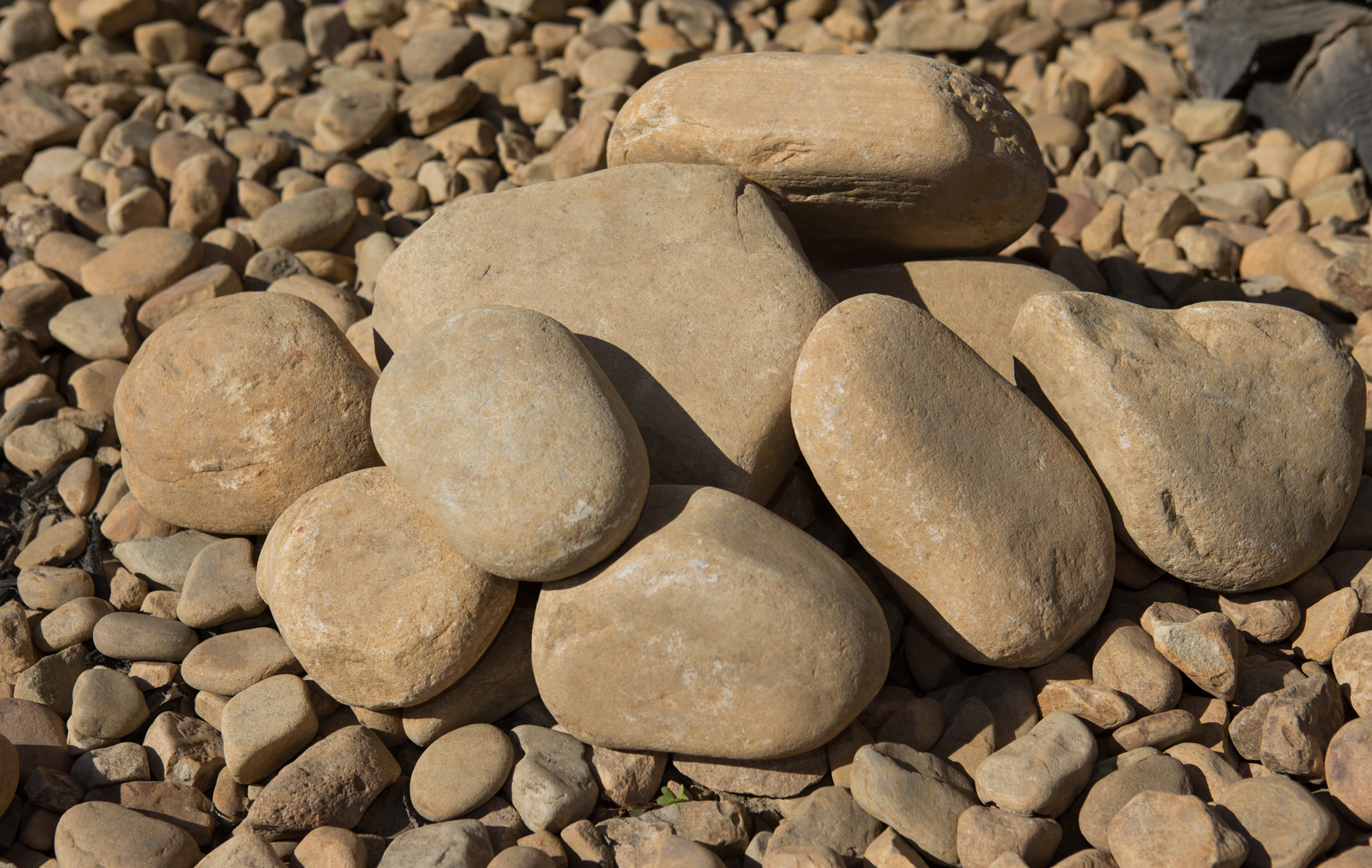 River Rock Medium River Flats - Palletized