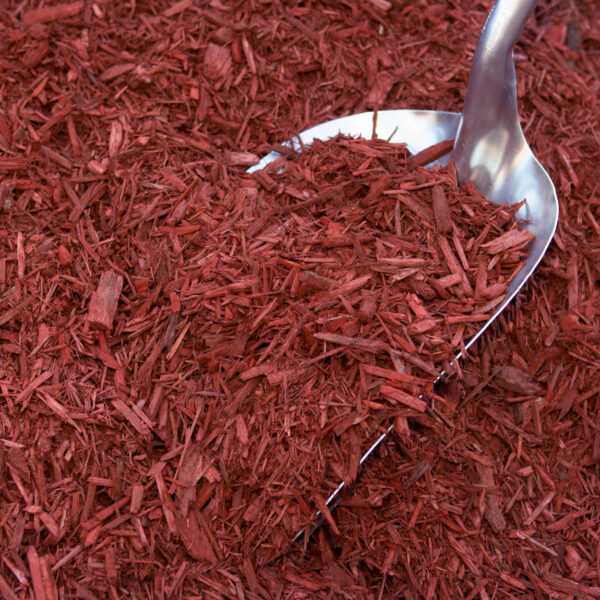 Red Mulch